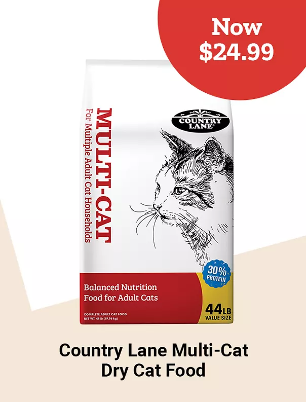  26FW04 4CountryLaneMultiCatDryCatFood Tile jpg 