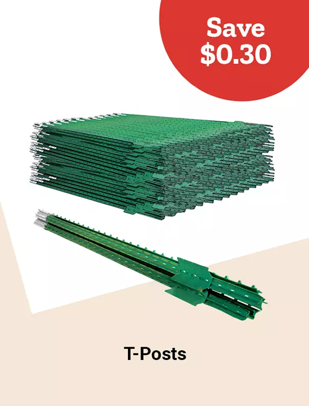  26FW04 6TPosts Tile jpg 