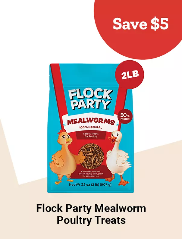  26FW04 2FlockPartyMealwormPoultryTreats Tile jpg 
