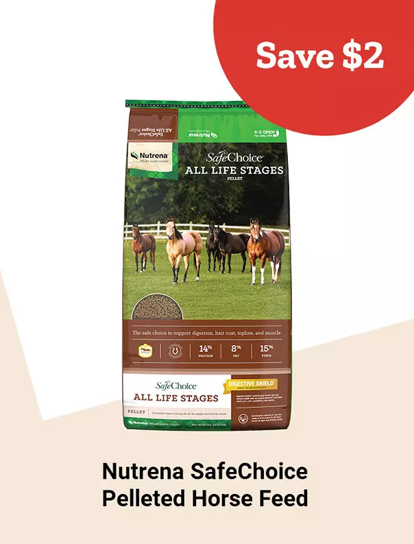  26Week5 SelectNutrenaSafechoiceHorseFeed 