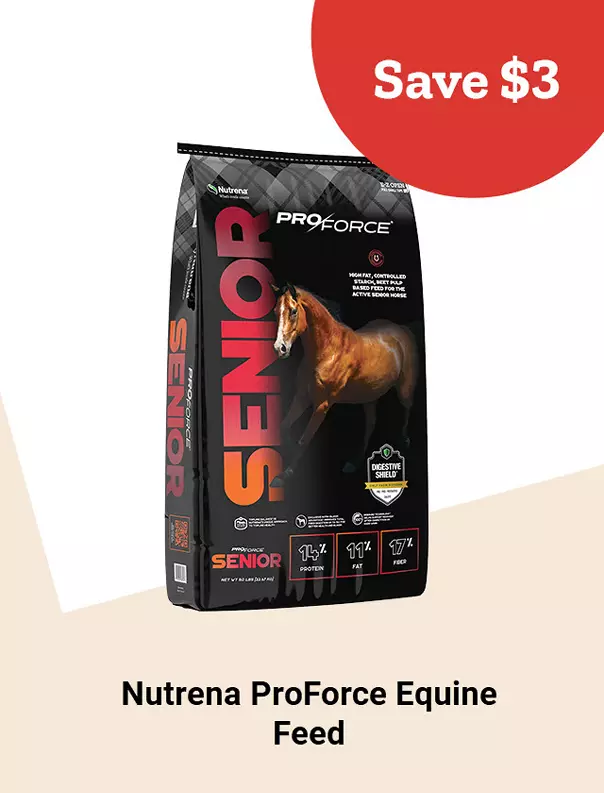  26Week5 ProforceEquineFeed 