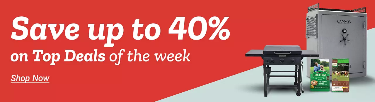  26Week6EmailHero 