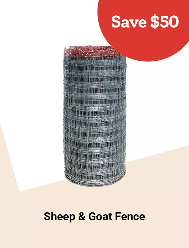  26Week6SheepandGoatFence 