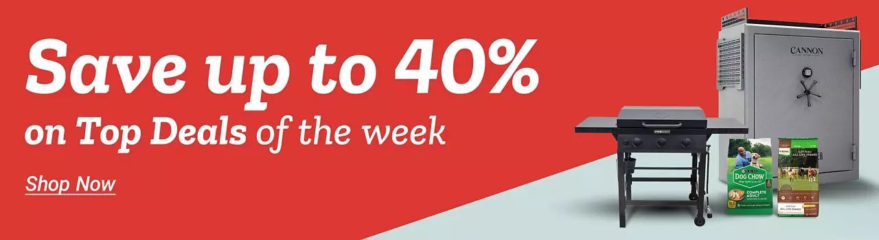  26Week6EmailHero 