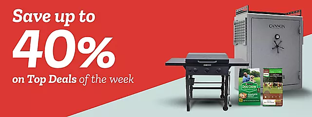  26Week6EmailHero 