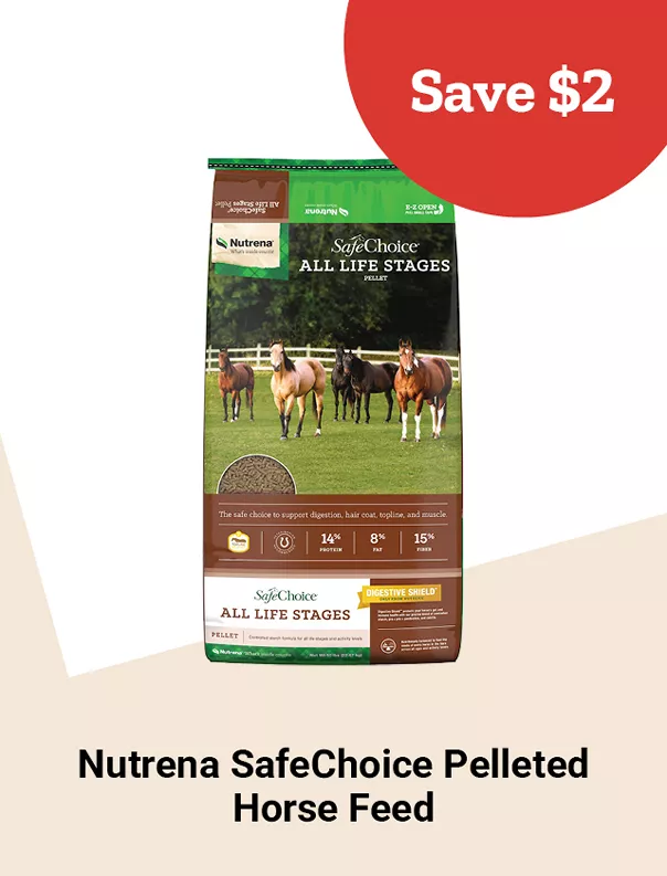  26Week6SelectNutrenaSafechoiceHorseFeed 