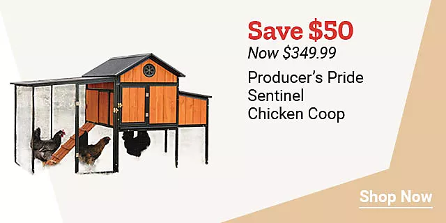  Week7and10 2026 WeeklyPromo ProducersPrideSentinelChickenCoop H