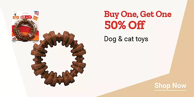  Week8and8 2026 TopDeals dogandcattoys H jpg 