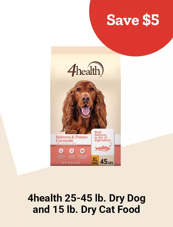 26Week9healthdrydog 