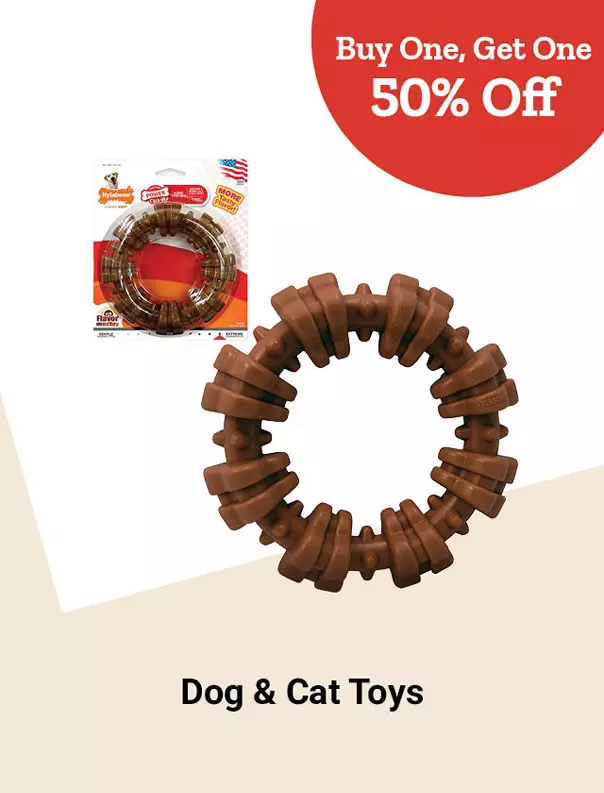  26Week9Dogcattoys 