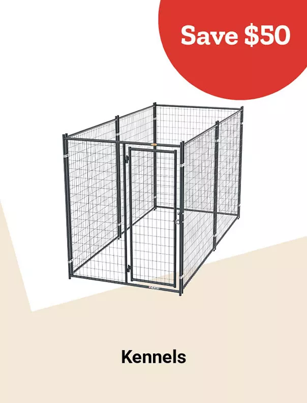  26Week9Kennels 