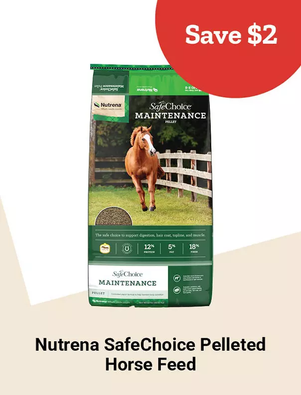  26Week9NutrenaSafeChoice 