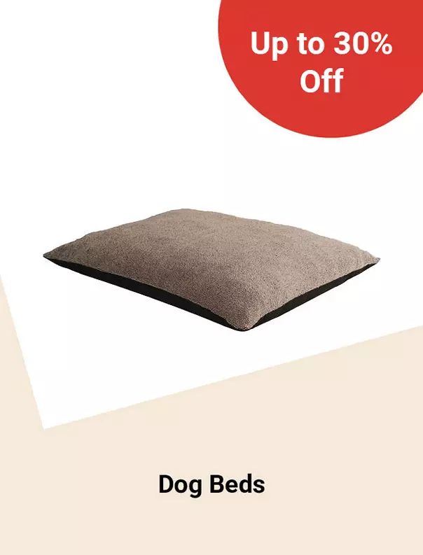  26Week9DogBeds 