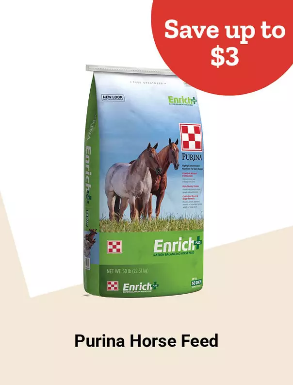  Week10and3 2026 TopDeals PurinaHorse Tile jpg 