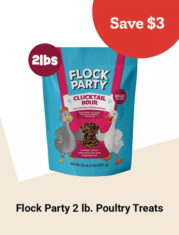  Week10and2 2026 TopDeals FlockParty Tile jpg 