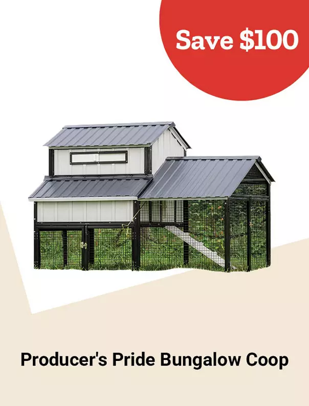  Week10and1 2026 TopDeals PrideBungalowCoop Tile jpg 