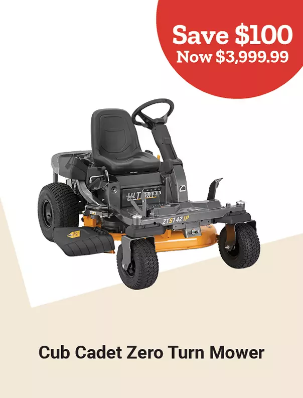  Week11and2 2026 TopDeals CubCadot 