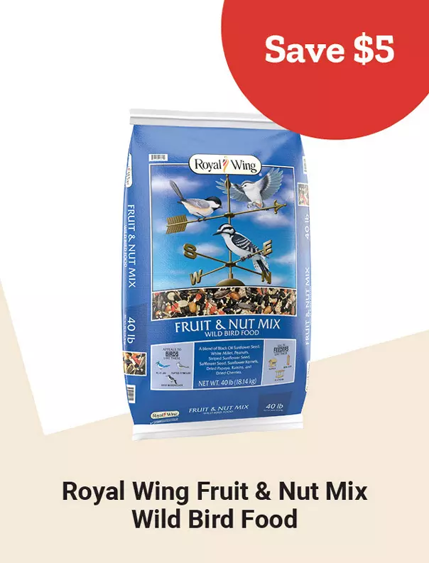  Week11and9 2026 TopDeals RoyalWing 