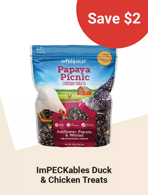  Week11and27 2026 TopDeals ImPECKables 