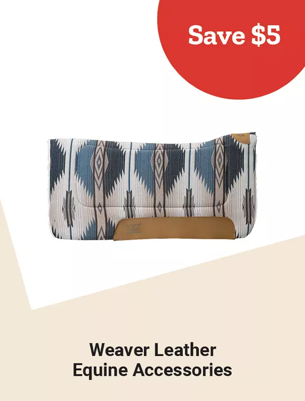  Week11and15 2026 TopDeals WeaverLeather 