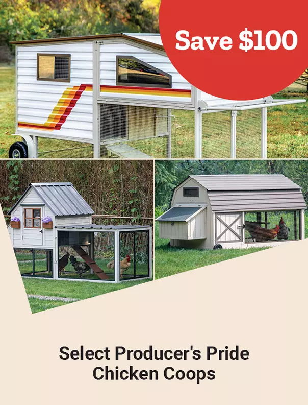  Week11and7 2026 TopDeals ProducersPride 