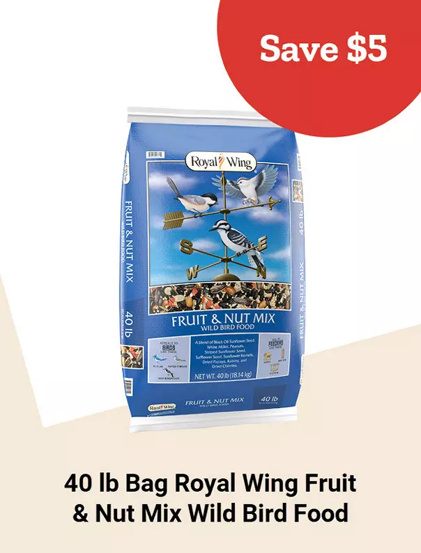  Week11and9 2026 TopDeals RoyalWing 