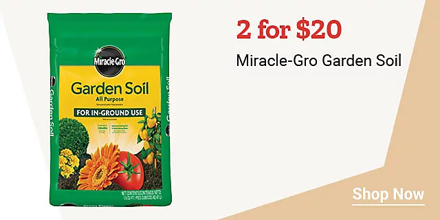  2026FW13and21 2026 SBBF MiracleGro H jpg 