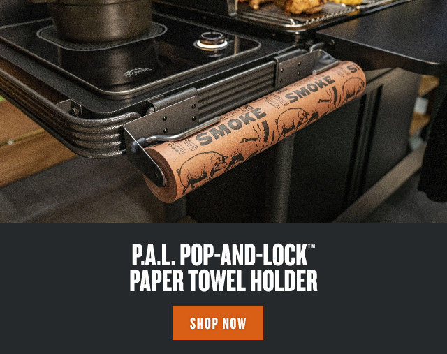 P.A.L. Pop-And-Lock™ Paper Towel Holder