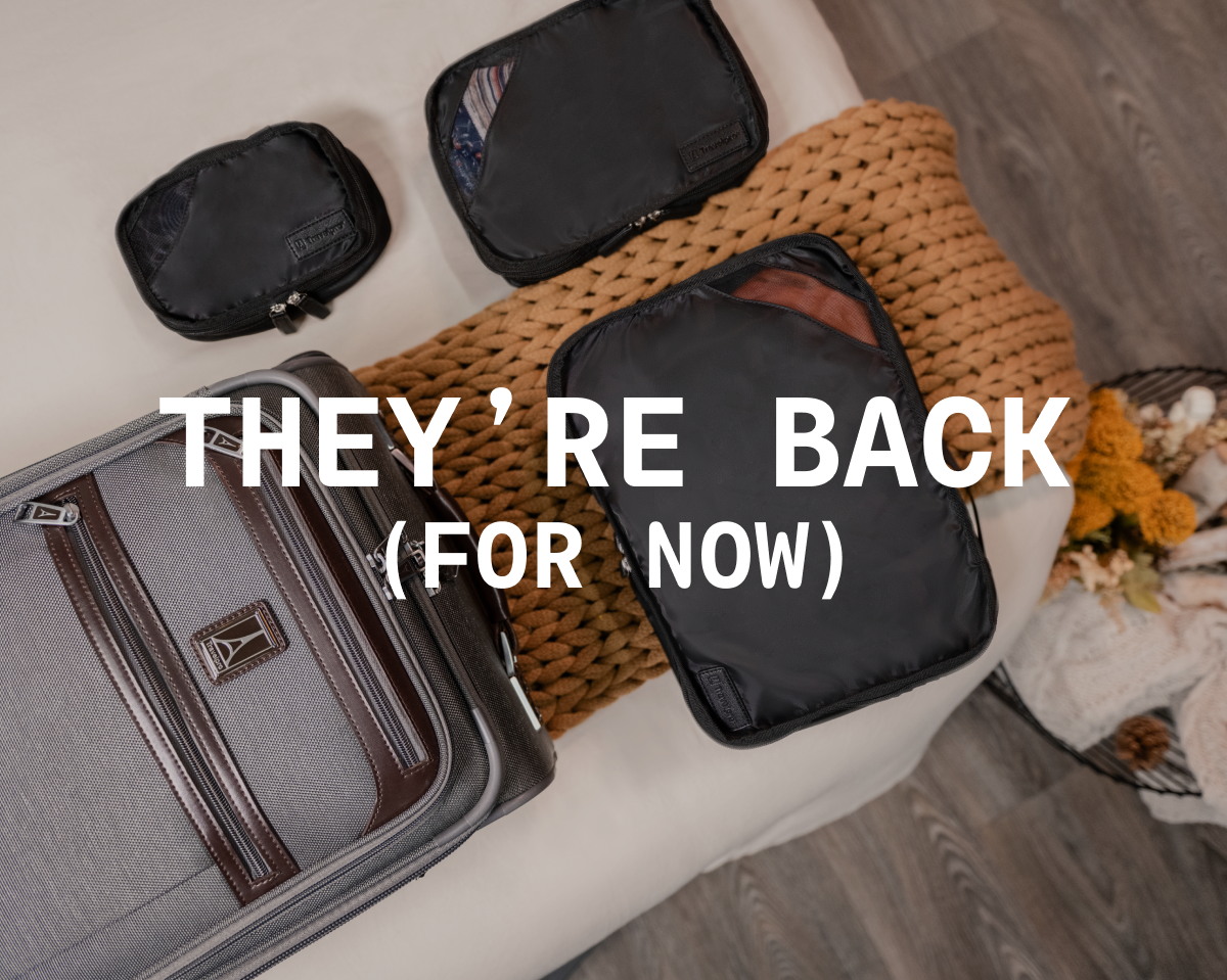 THEY'RE BACK. (BUT NOT FOREVER).