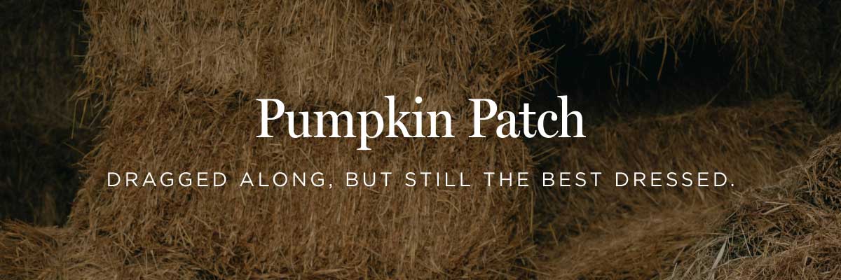 Pumpkin Patch 