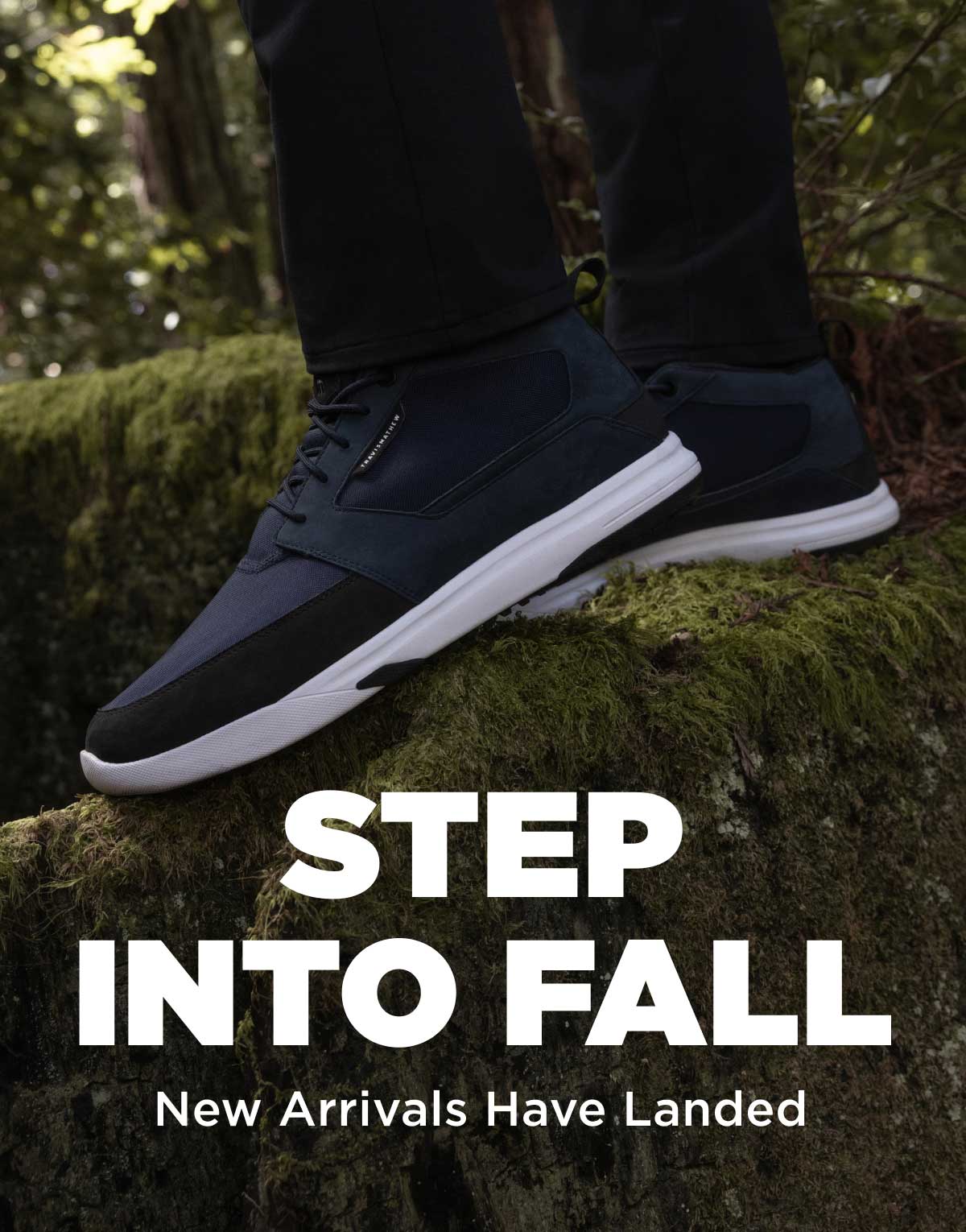 Step Into Fall