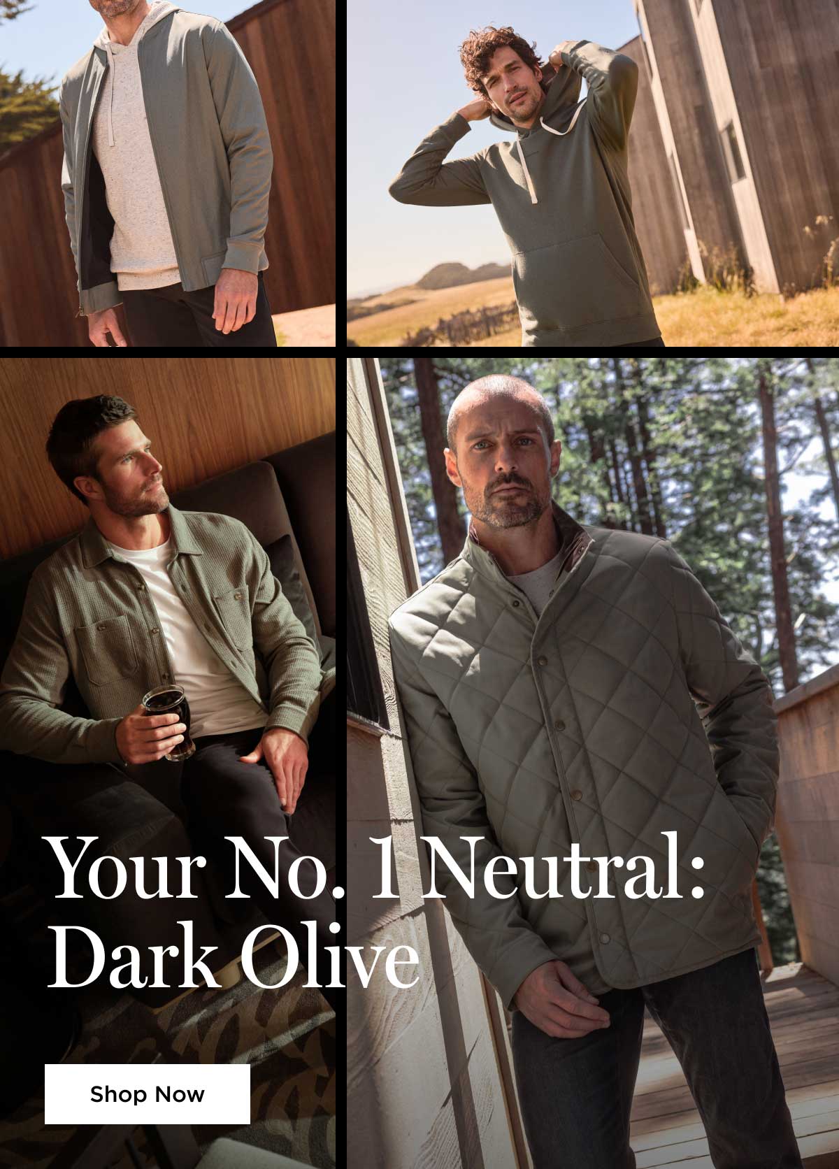Your No.1 Neutral: Dark Olive