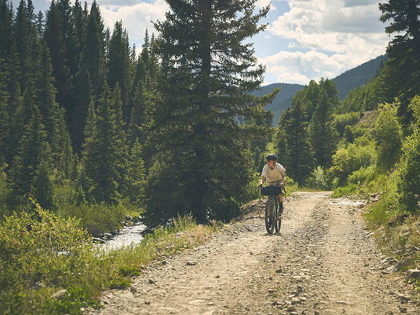 Cyclist wearing helmet while riding all-new CheckOUT bike on tree-lined gravel trail with mountains in background