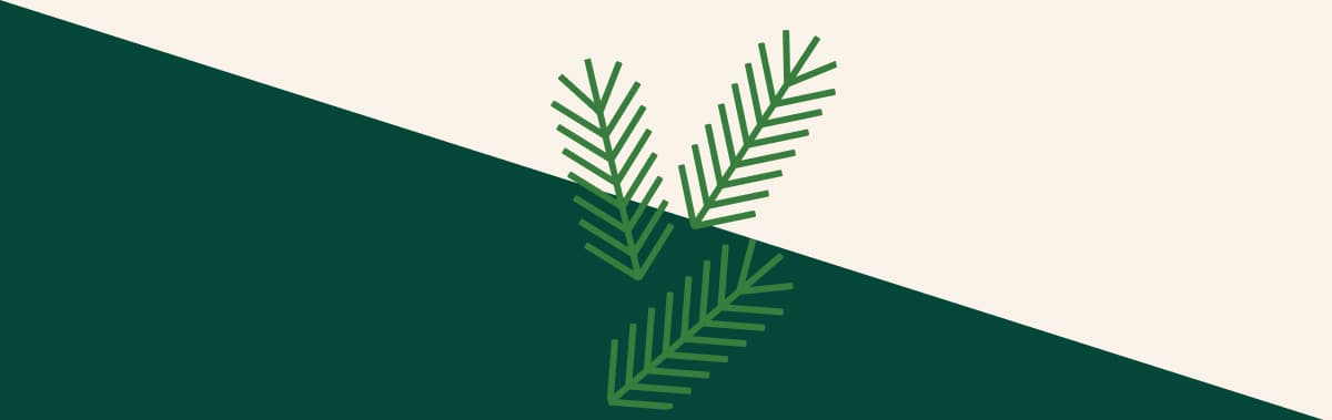 Illustration of pine tree branches