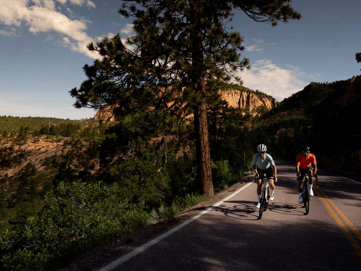 Two cyclists riding road bikes on a paved road through a mountainous landscape