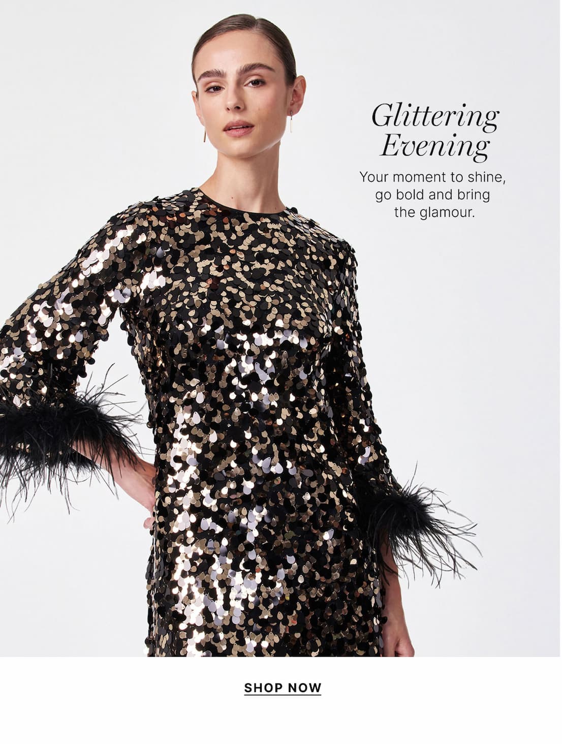Glittering Evening