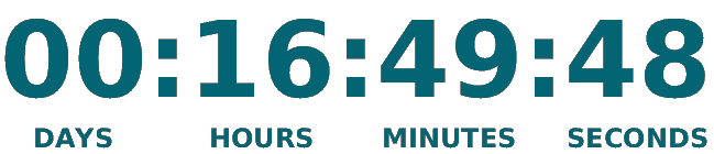 Time runs out on March 4, 2025 at 11:59 PM PST