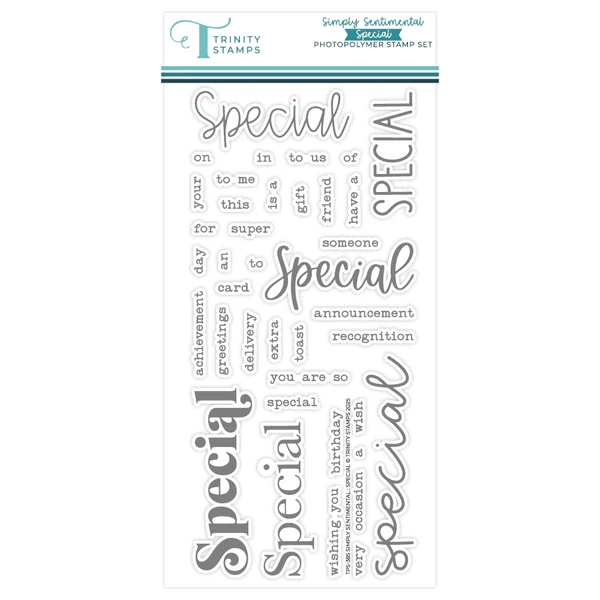 Simply Sentimental - Special 4x8 Stamp Set
