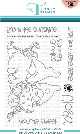 Wish You Were Here 4x6 Stamp Set