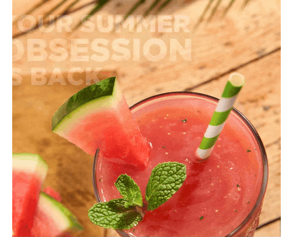 YOUR SUMMER OBSESSION IS BACK