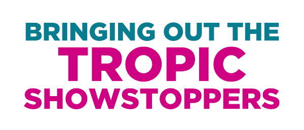 BRINGING OUT THE TROPIC SHOWSTOPPERS