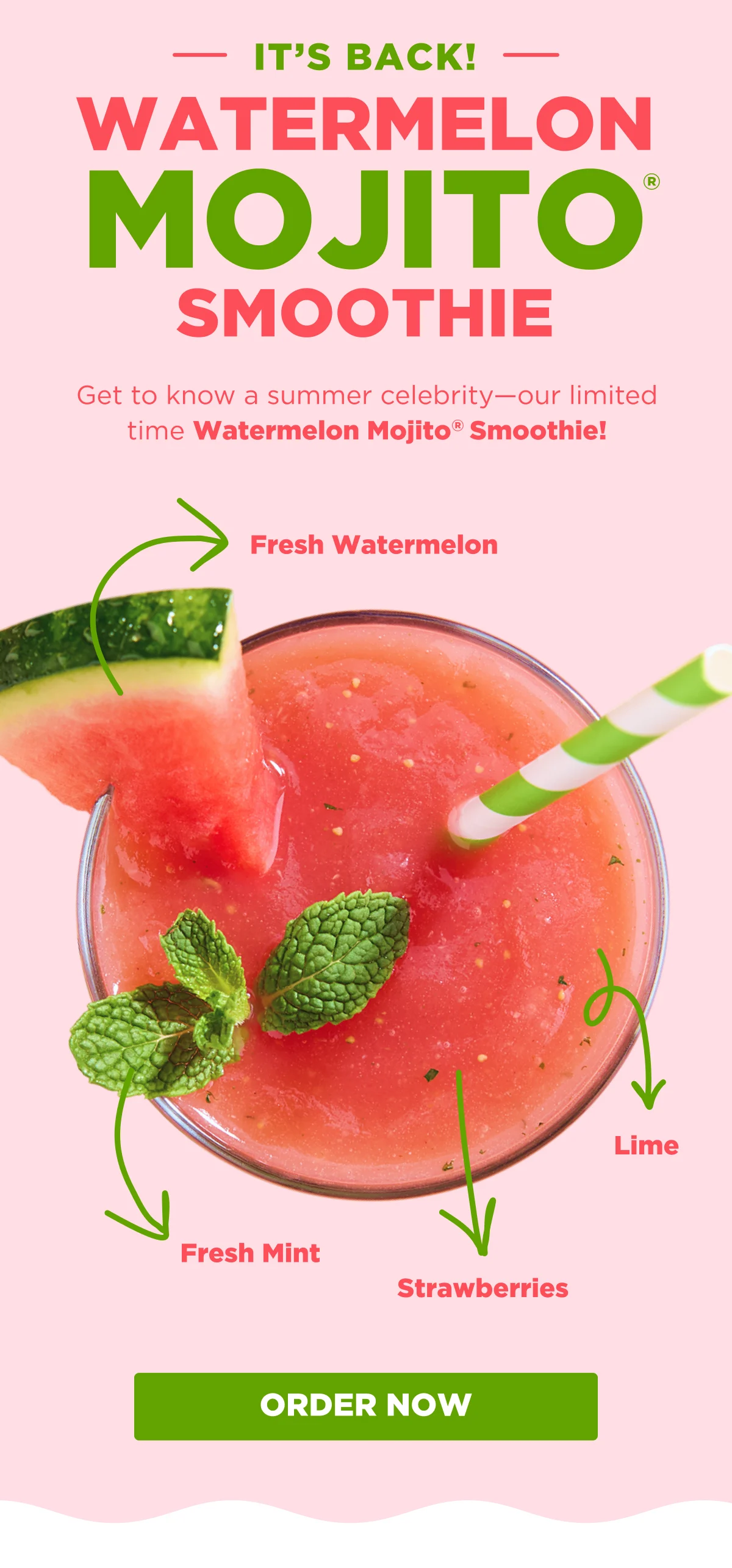 IT'S BACK! WATERMELON MOJITO® SMOOTHIE. Get to know a summer celebrity—our limited time Watermelon Mojito® Smoothie! Fresh Watermelon. Fresh Mint. Strawberries. Lime. ORDER NOW