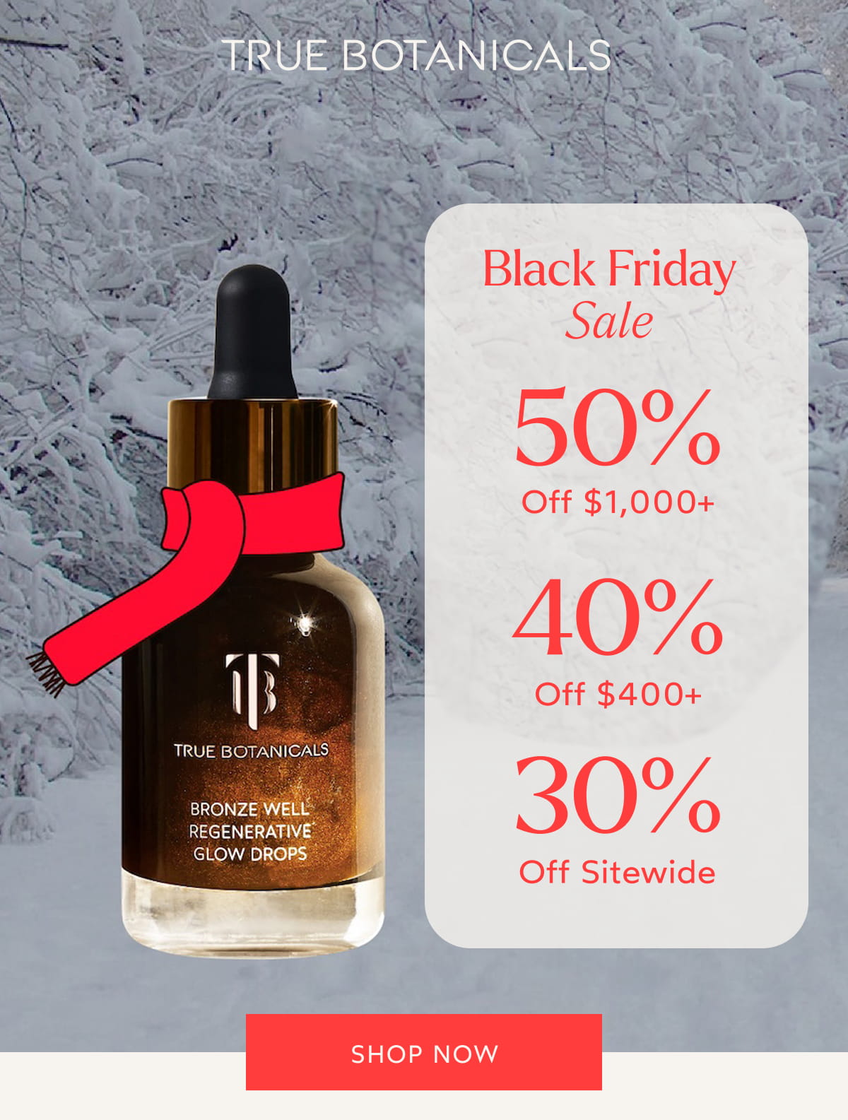 Black Friday Sale