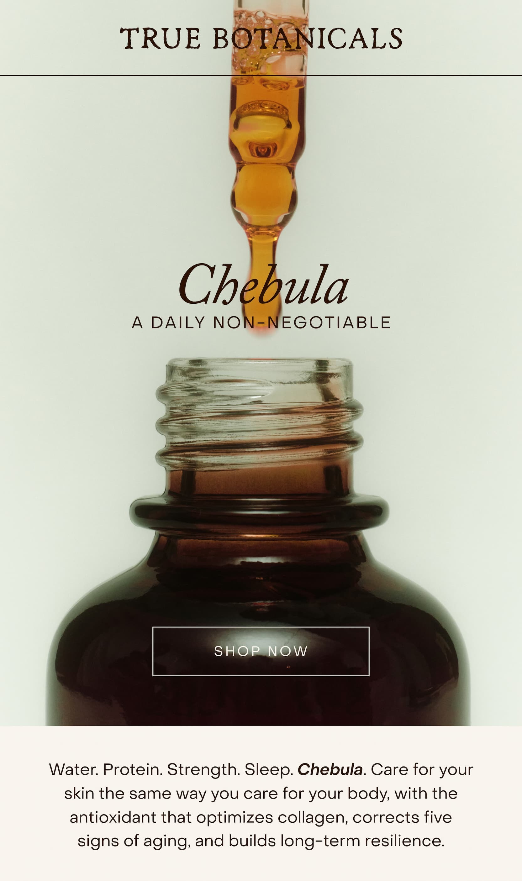 Chebula