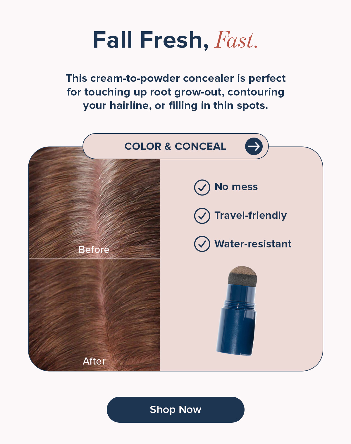 Shop Color and Conceal