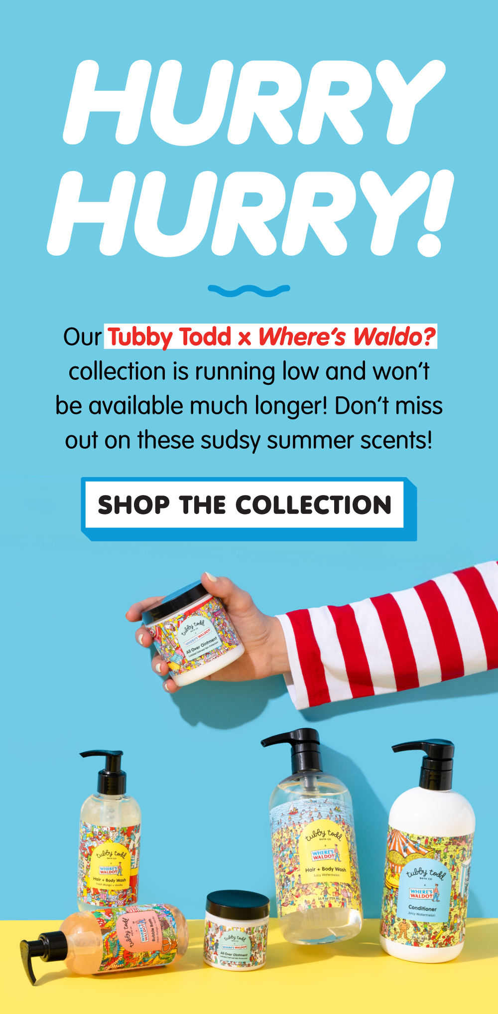 SHOP THE COLLECTION