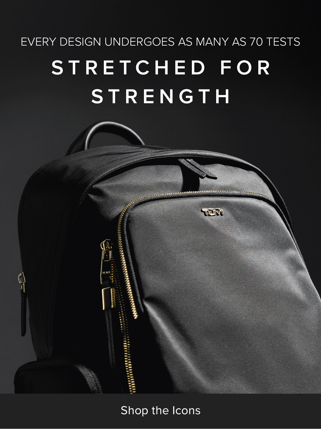 Stretched for Strength - Shop the Icons