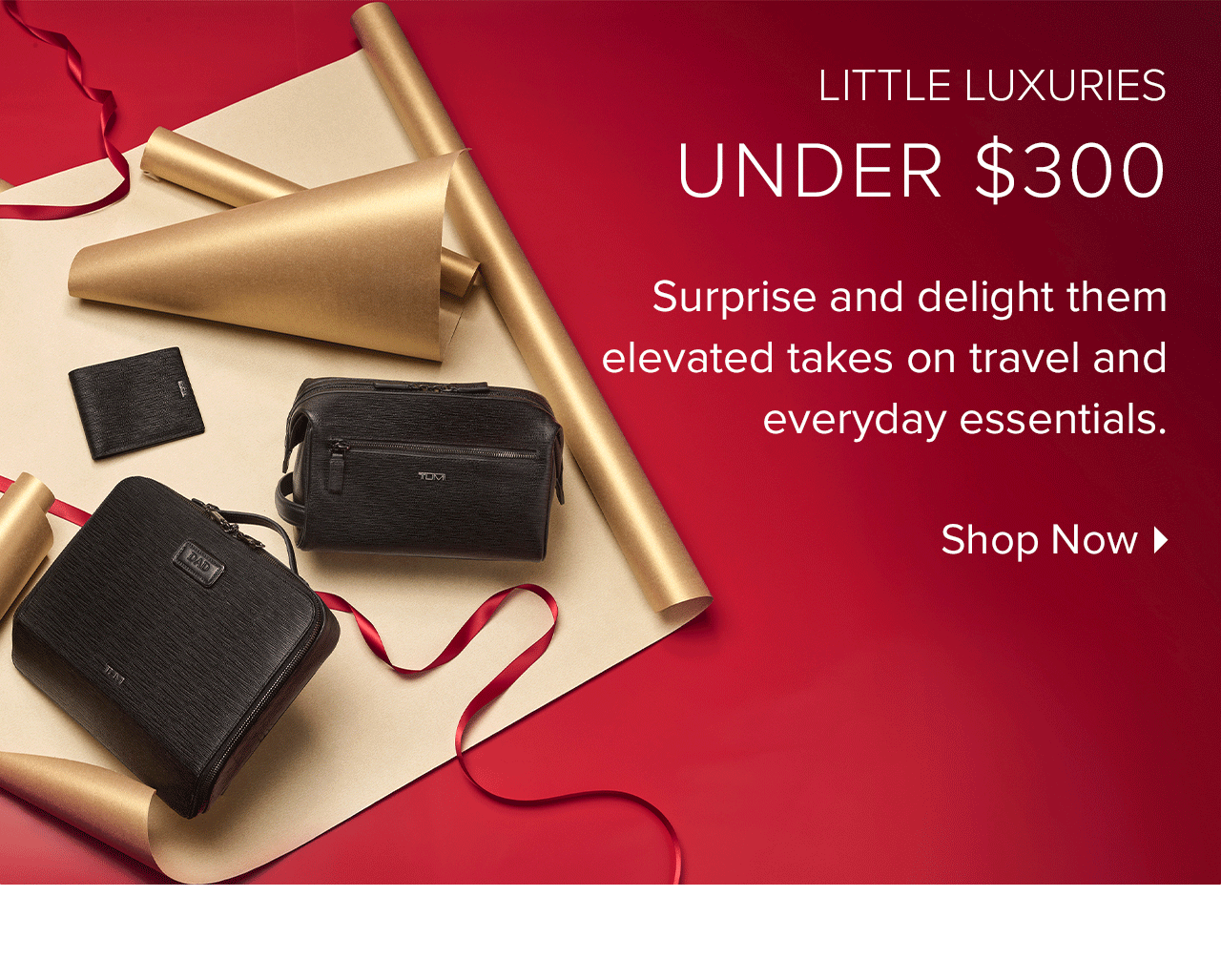 Gifts Under $300