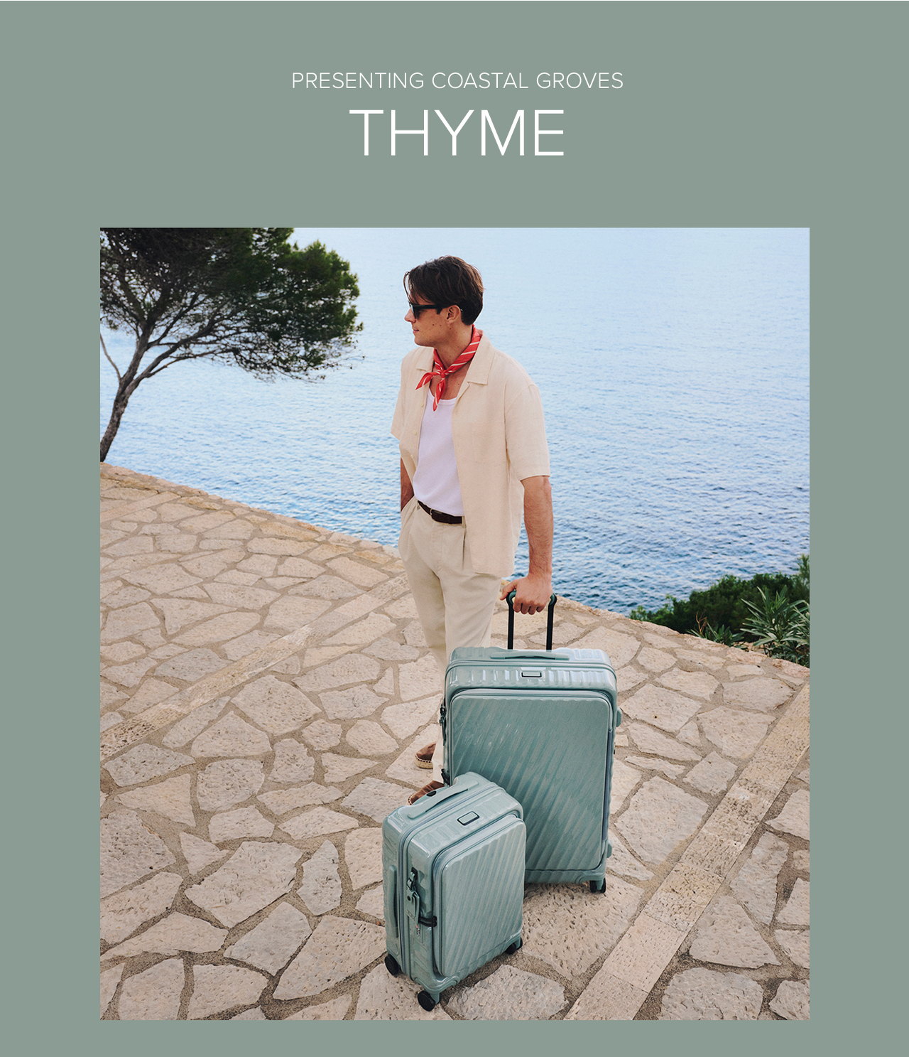 Presenting Coastal Groves: Thyme