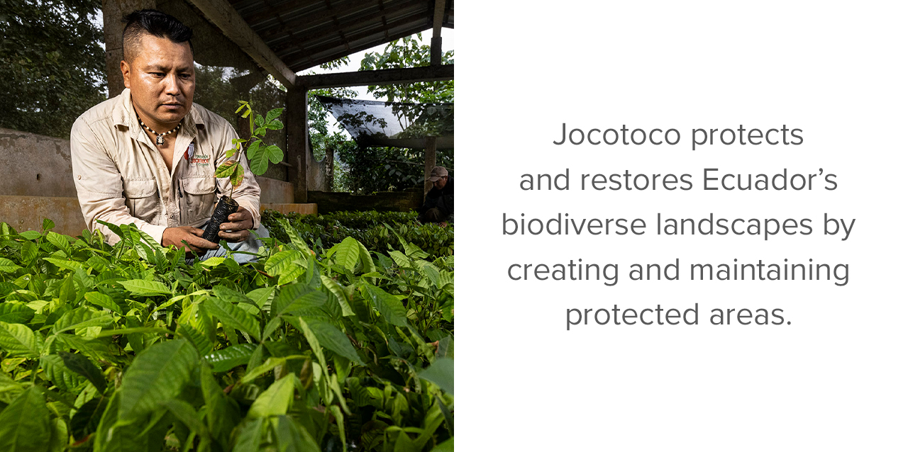 Jocotoco - Learn More